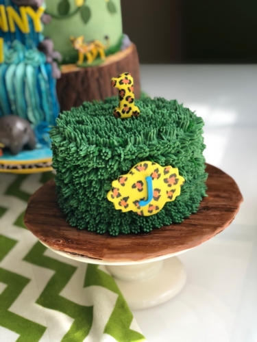 Lion Guard Smash Cake