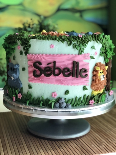 Safari Cake