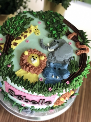 Safari Cake (2)